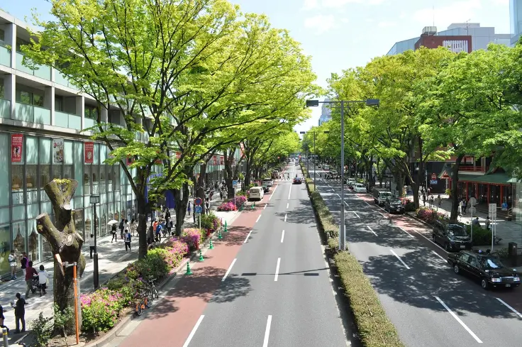 Japan’s luxury market surpasses the 5.4 trillion yen milestone in 2026